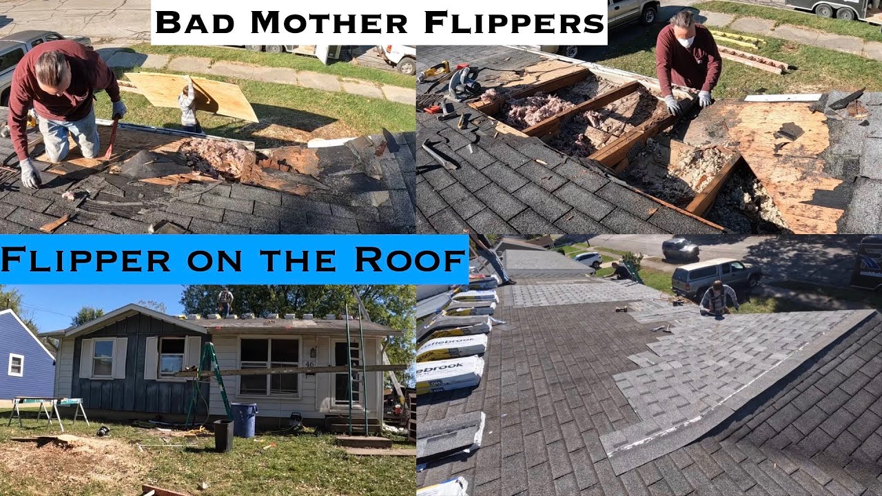 Flipper on the Roof