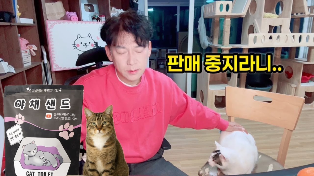 속상하네요...