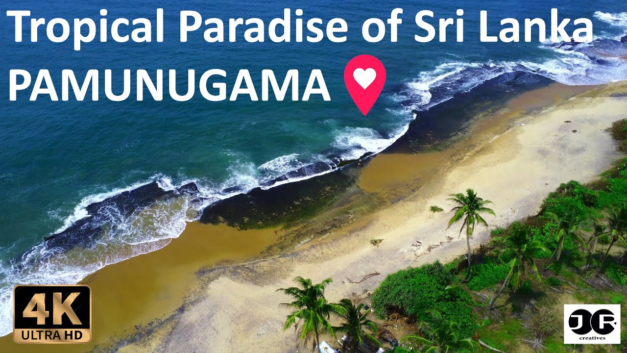 Tropical Paradise of Sri Lanka - Pamunugama - 4K - #srilanka