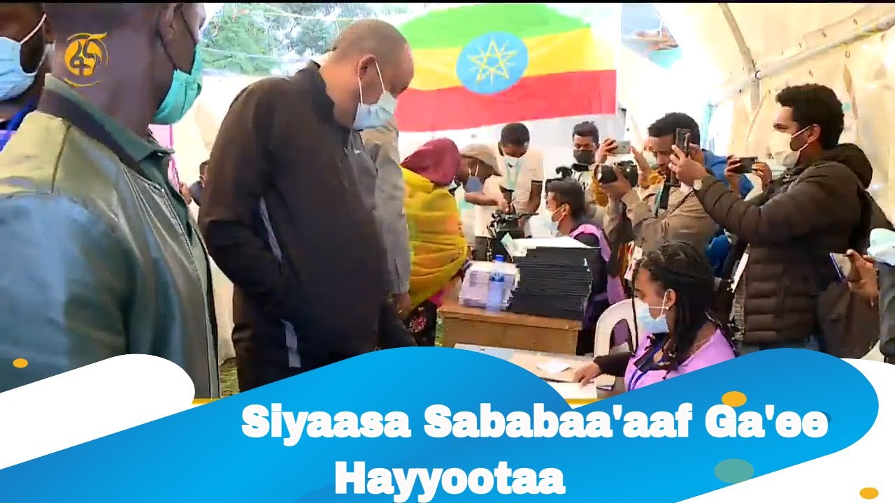 Siyaasa Sababaa'aaf Ga'ee Hayyootaa