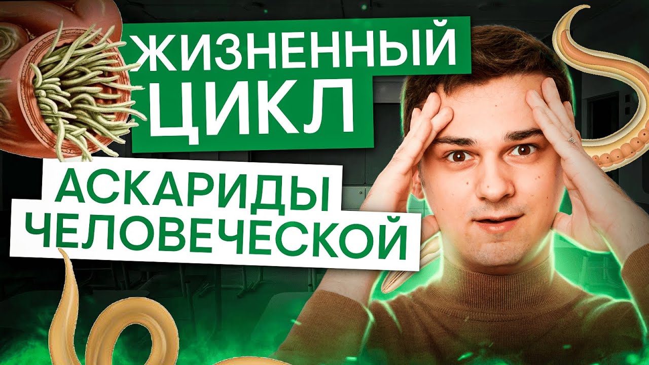 Жизненный цикл аскариды человеческой | Биология ЕГЭ с Мишей Гис | 2025 | СМИТАП