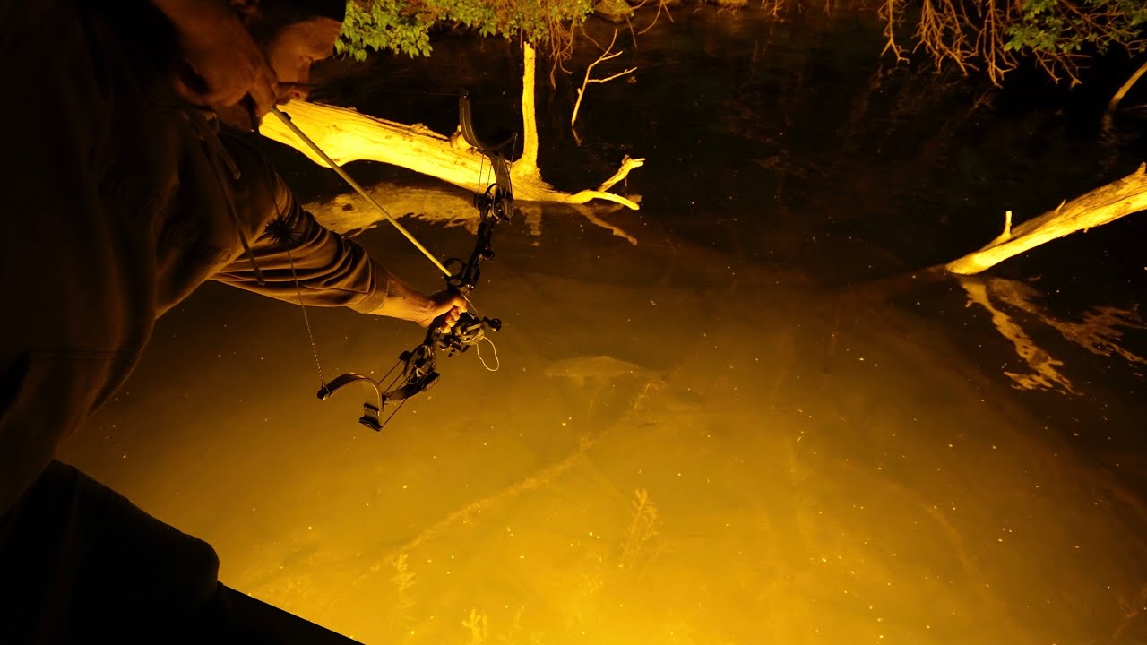 Bowfishing Lake Minnetonka for Invasive Fish!