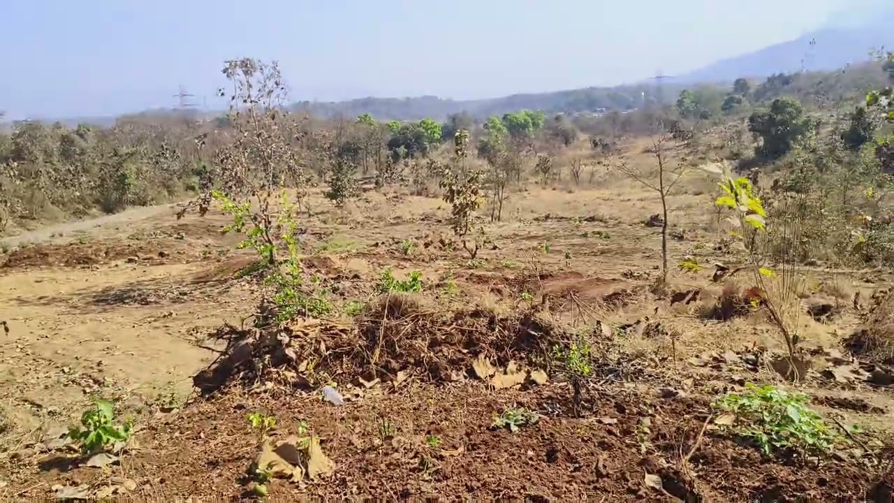 40 एकर रिसेल प्लॉट हायवे रोड लागून माउंटन व्ह्यू मार्केट 2किमी अधिक माहितीसाठी संपर्क 9226224222...