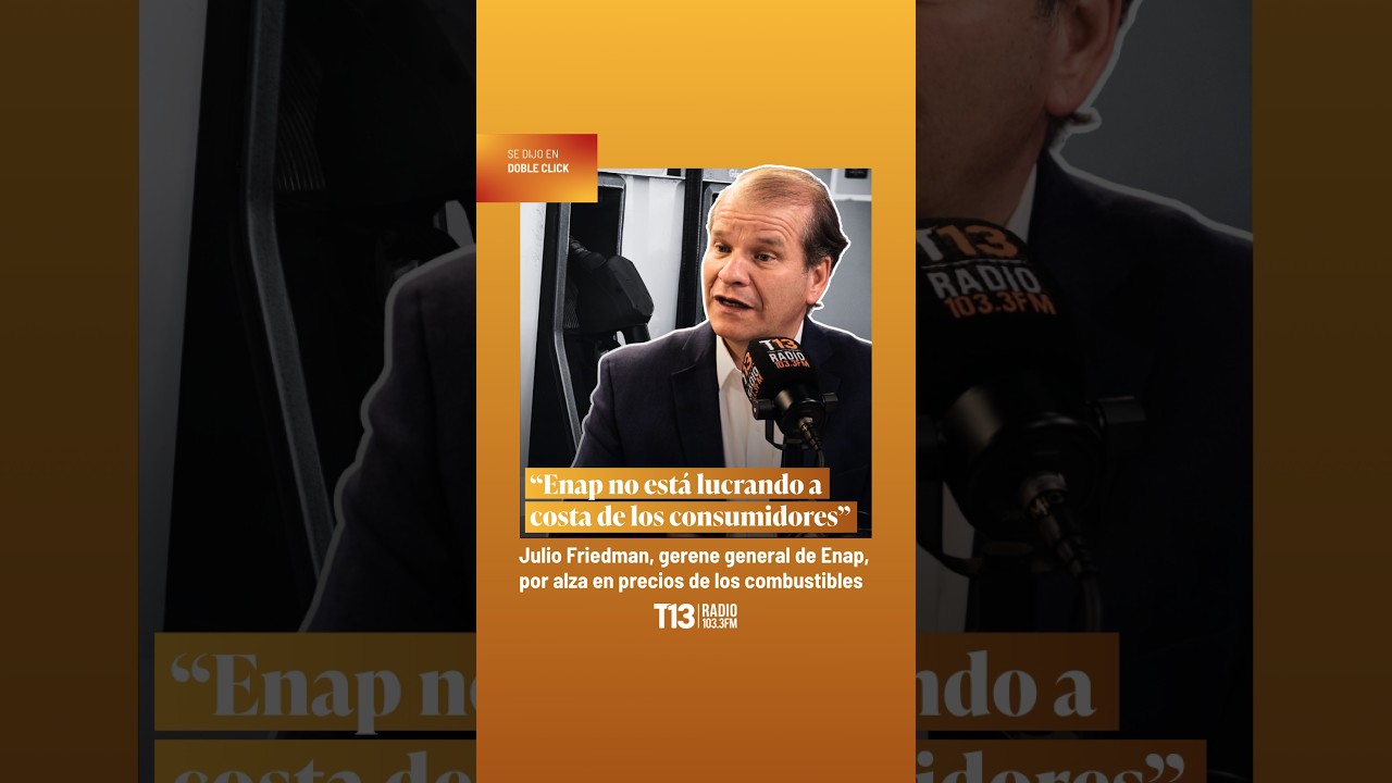 Julio Friedmann y precio de combustibles: &ldquo;Enap no est&aacute; lucrando a costa de los consumidores&rdquo;