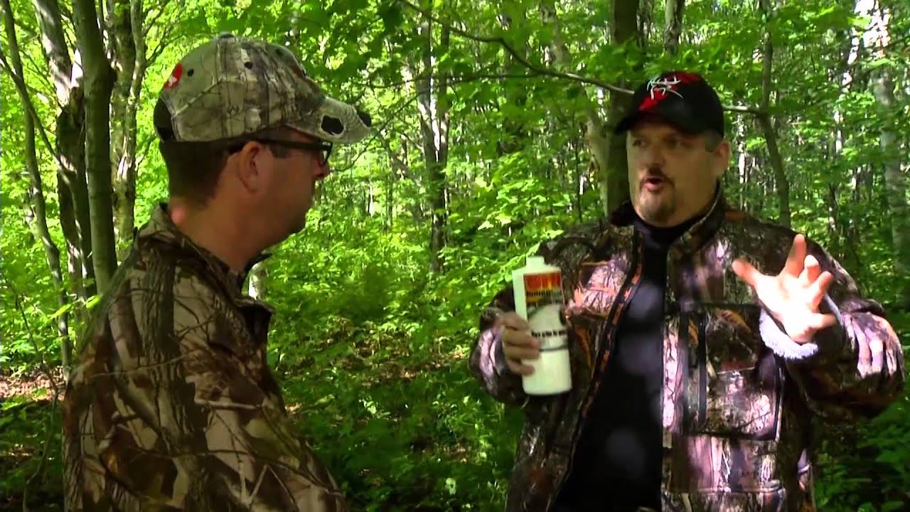 L'histoire de l'urine de jument pour la chasse à l'orignal