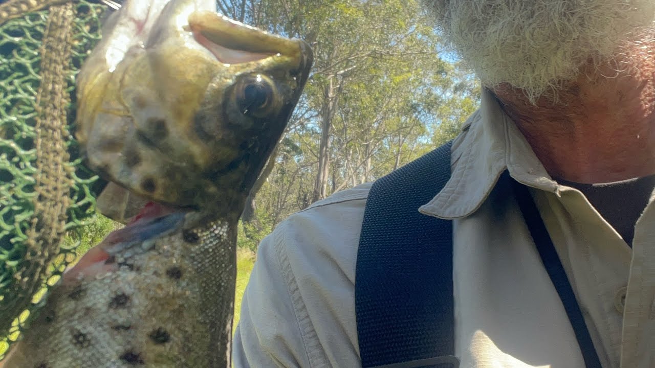 Bufallo Catherine River ride & fish on Chugga the DR650