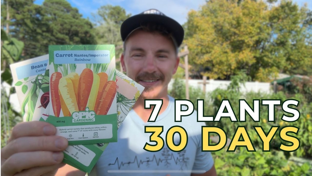 7 Super Fast Crops to Plant Right NOW and Harvest this Fall!