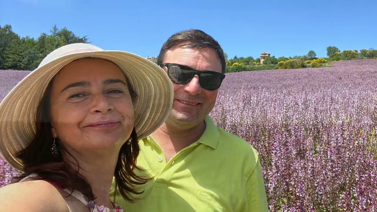 Francia del sud in camper - 1°parte: dal Verdon, alla piana di Valensole fino alla Camargue.