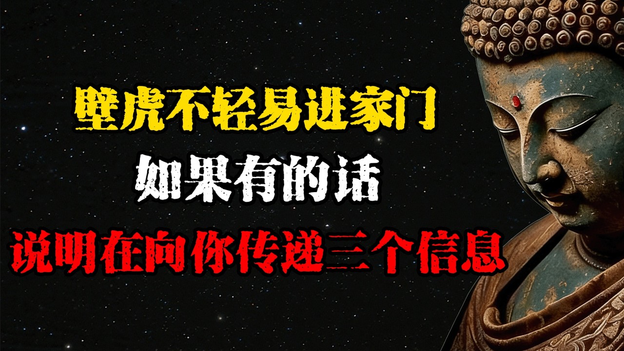 高僧揭秘：壁虎不輕易進家門，進來說明在向你傳遞三個資訊  #佛學 #佛法 #佛教 #禅悟佛心 #因果報應 #傳統文化 #佛教文化 #修心修行