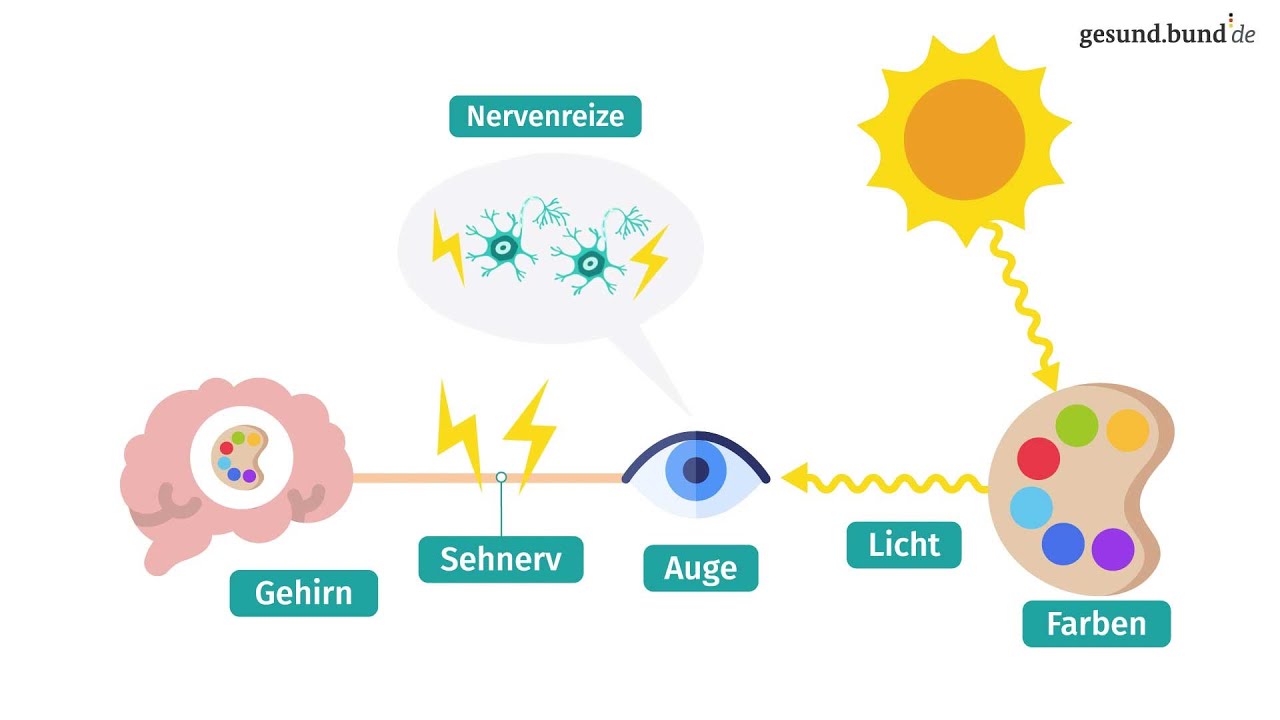 Wie funktioniert das Farbensehen und was ist Farbenblindheit?