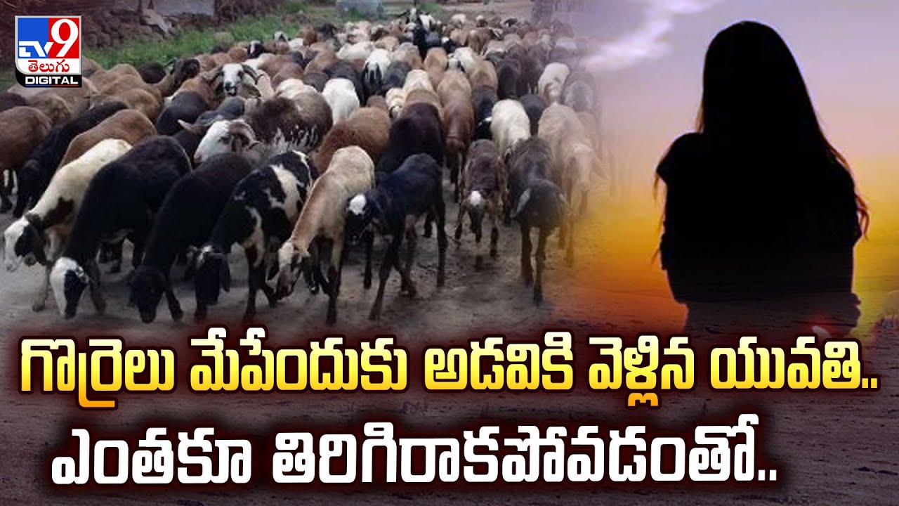 గొర్రెలు మేపేందుకు అడవికి వెళ్లిన యువతి.. ఎంతకూ తిరిగిరాకపోవడంతో.. | Andhra Pradesh - TV9