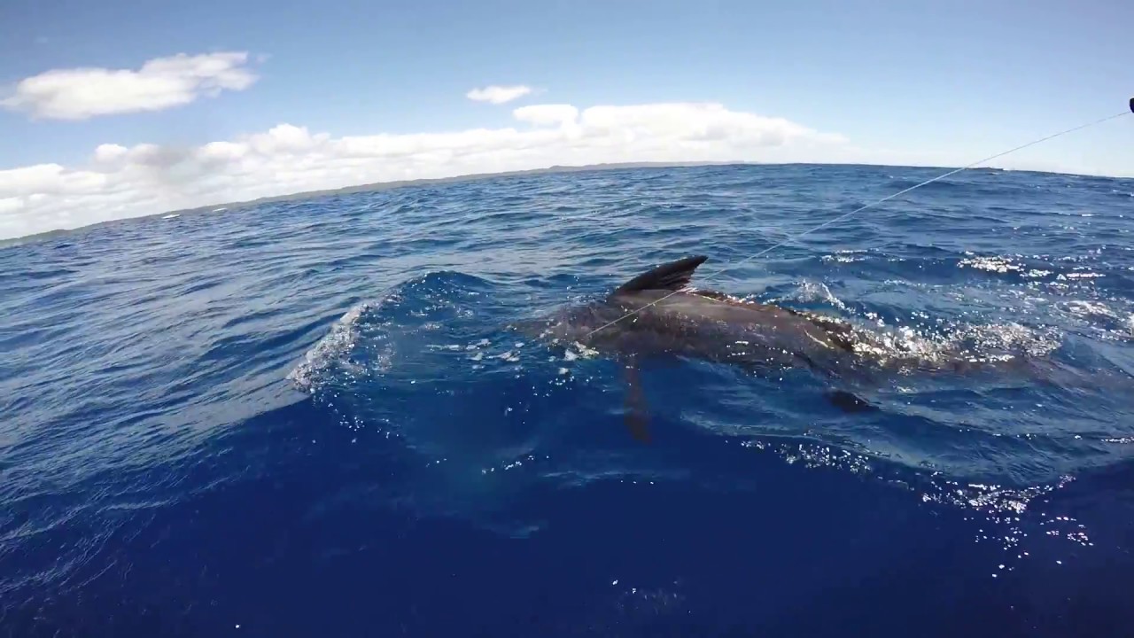 Sodwana Bay Marlin Fishing 13/01/2018