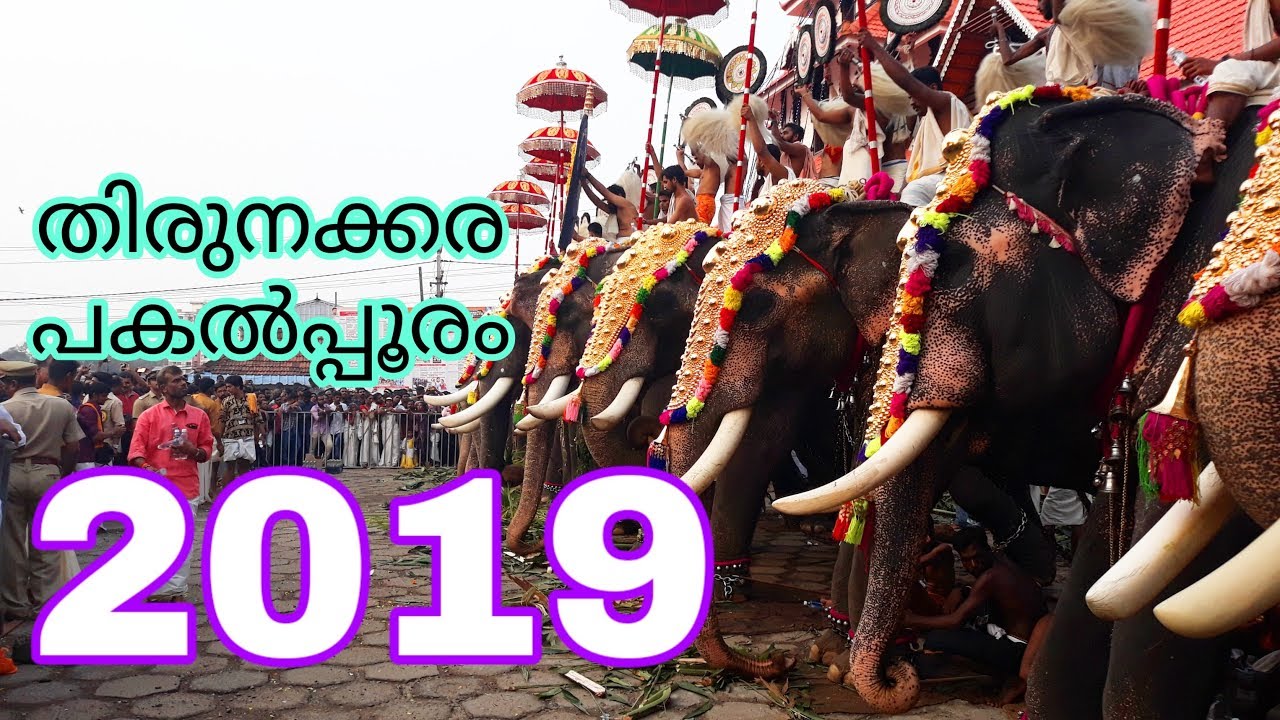 തിരുനക്കര പൂരം 2019 | Thirunakkara Pooram 2019 | Kerala Elephants at Pooram