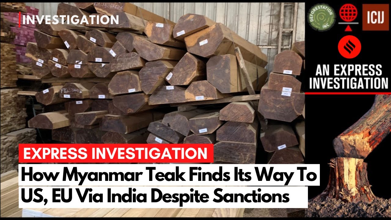 Under Sanctions, Prized Myanmar Teak Finds Its Way To Luxury US, EU Markets Via India