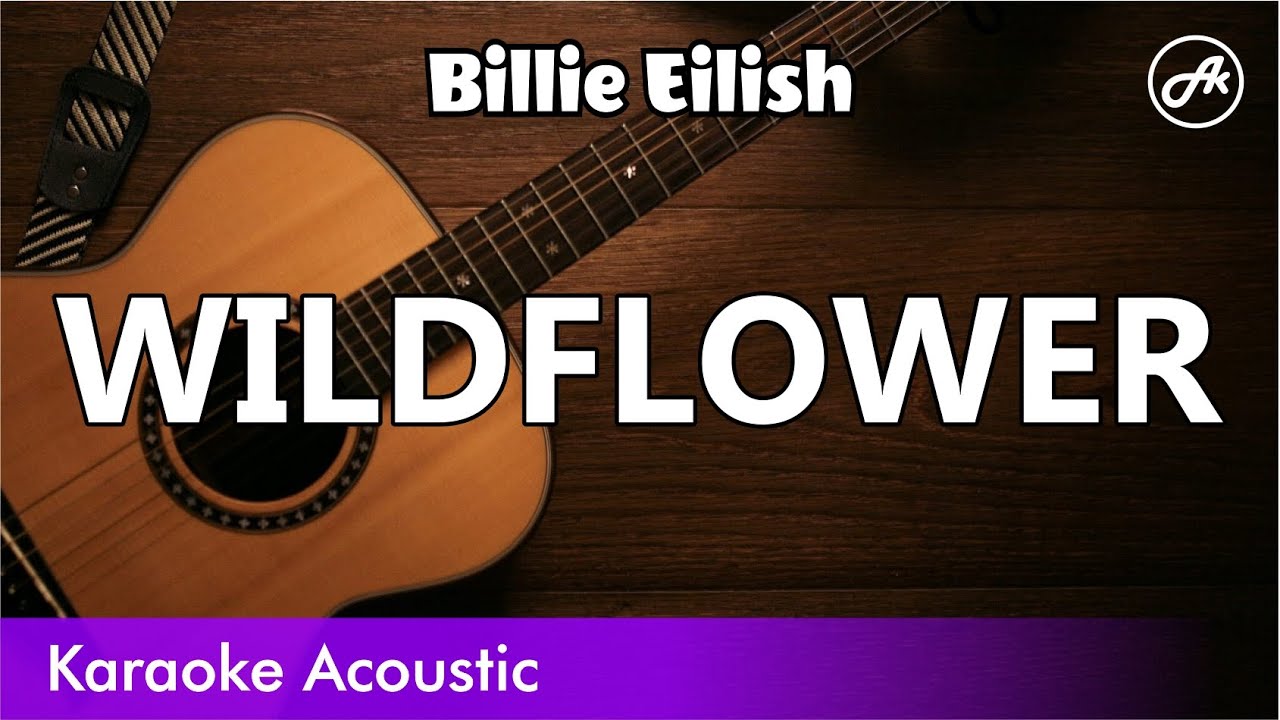 Billie Eilish - WILDFLOWER (acoustic karaoke)