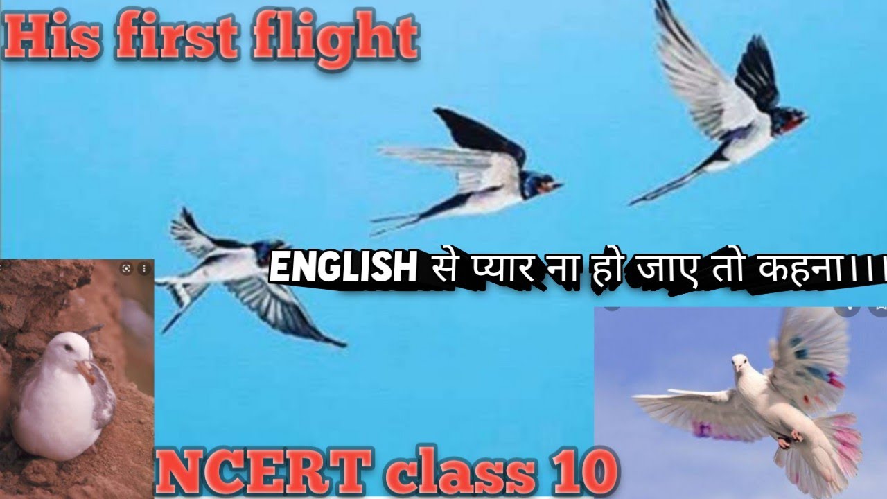 His first flight।। class 10 english chapter 3।। word by word explanation in हिन्दी ।। NCERT English।