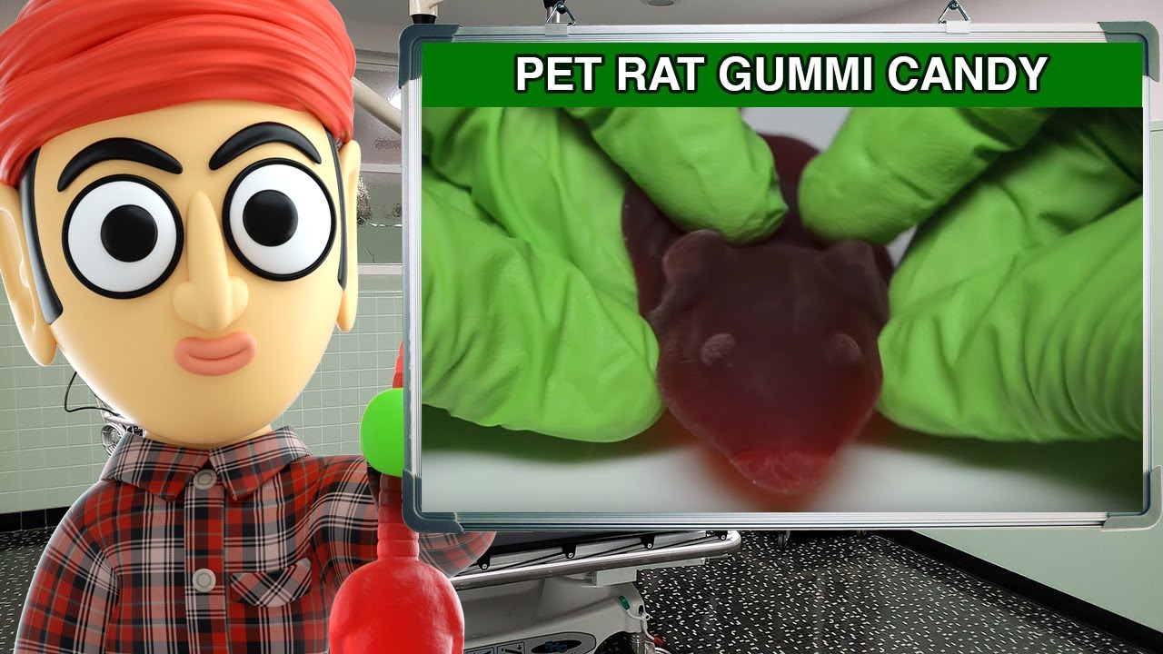 Обзор конфет Runforthecube: жевательные конфеты Jelly Belly Pet Rat
