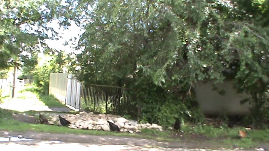 Дорога в с. Фрунзе, 2014