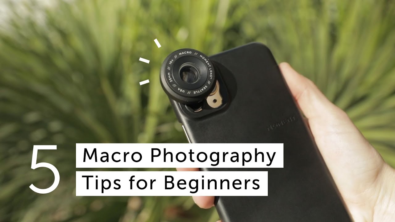 Taylor Gives 5 Macro Photography Tips for Beginners