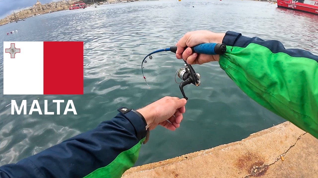 Žvejyba MALTOJE, nematytos žuvys ir sulaužyta me&scaron;kerė...@sigitas.a  Padėkite atpažinti žuvis 🐠🐡🐟