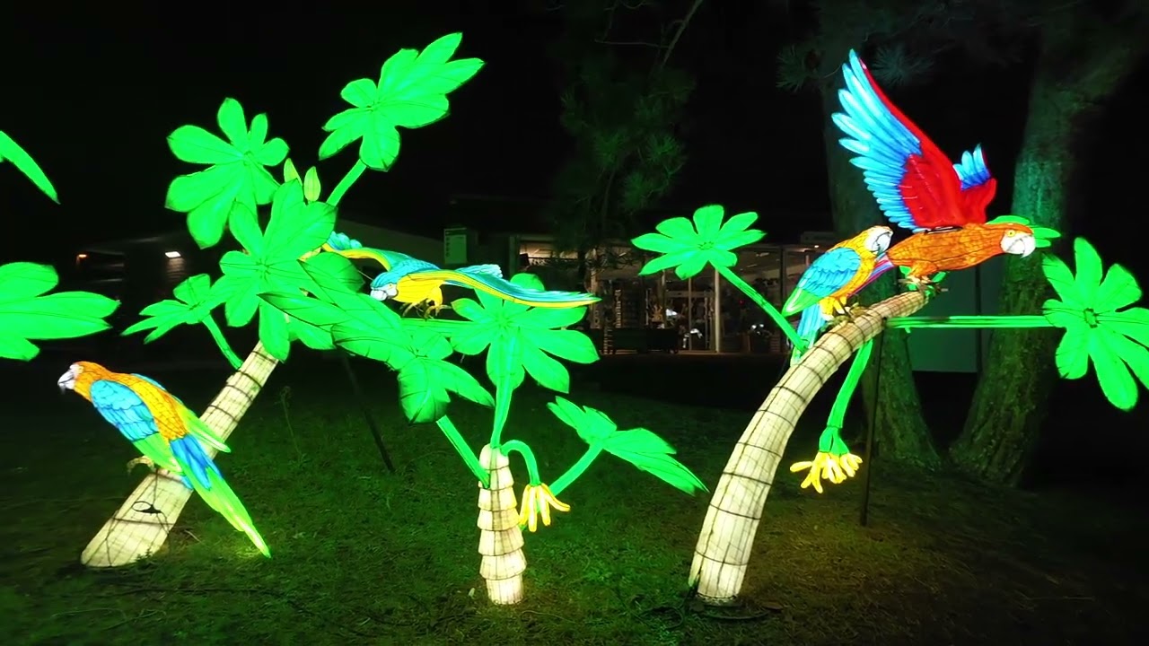 China Lights 2024/2025🏮 Fabelhafte Lichterwesen iim Kölner Zoo 🐼
