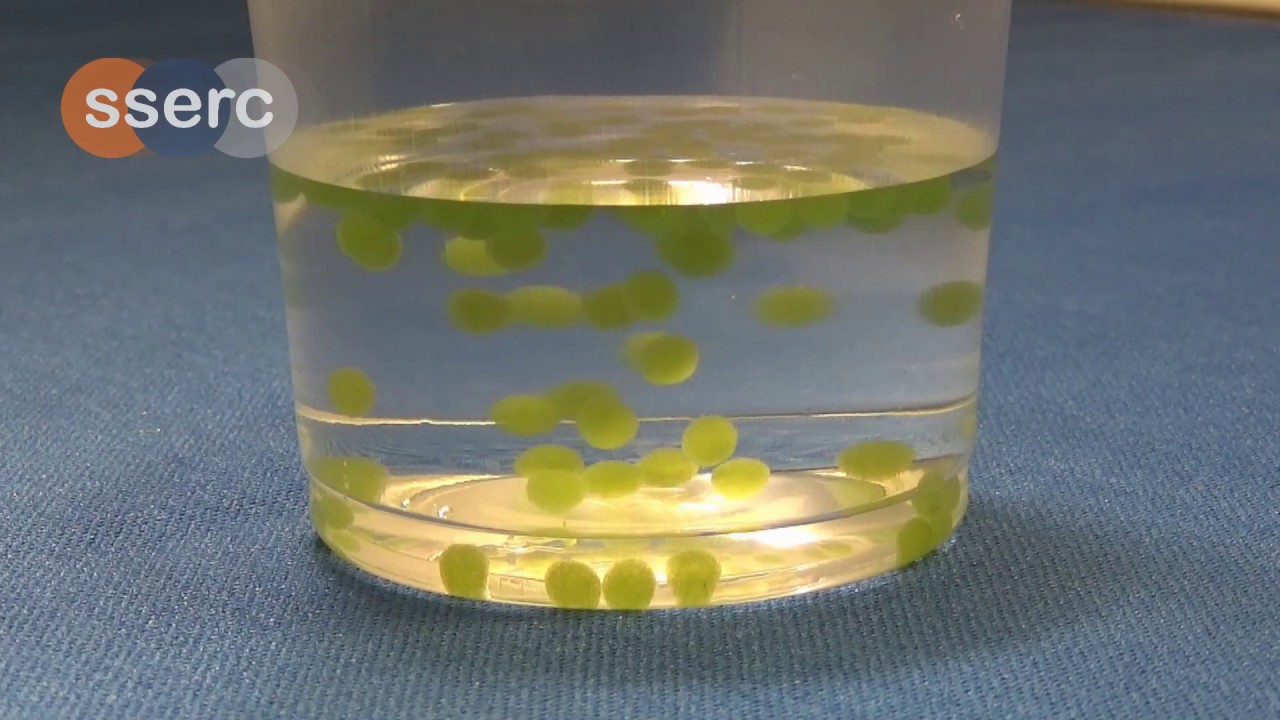 Immobilised Algae