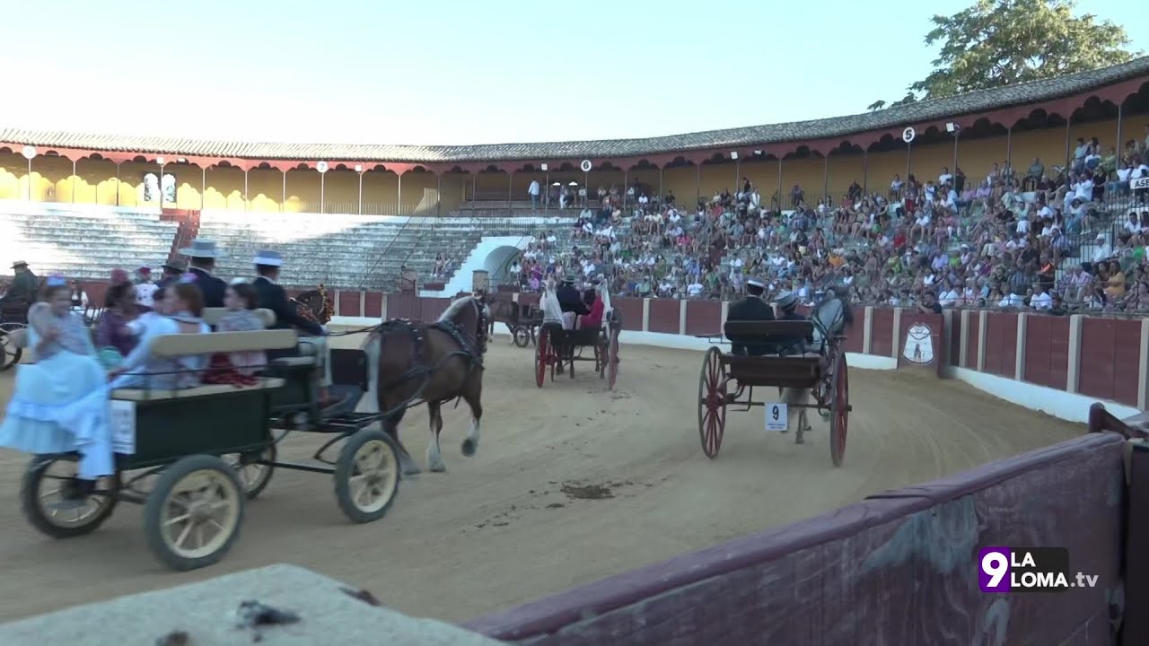 Feria de Baeza 2023 · Certamen de enganches de caballos