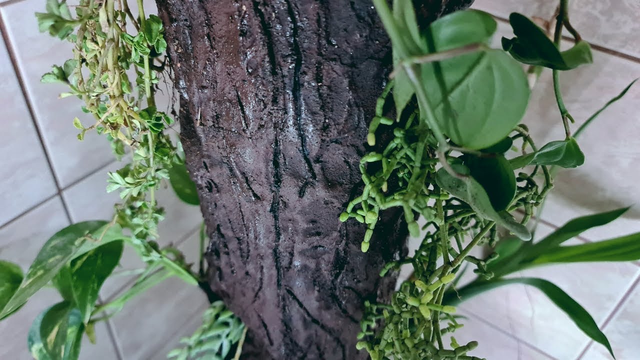 TRONCO de GARRAFA PET e CIMENTO. DECORAÇÃO. PASSO A PASSO. DIY.