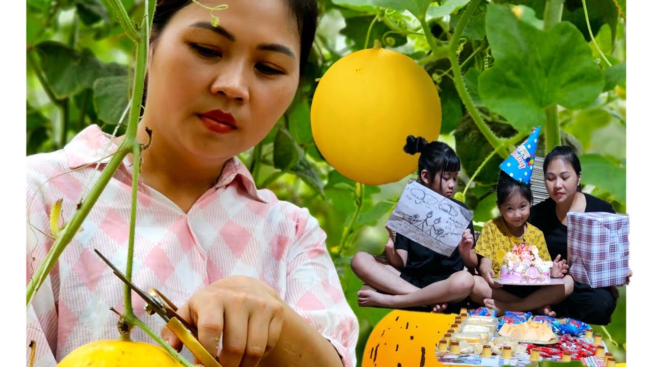 Harvesting Diamond Melon Garden To Bring To Market - Celebrate Daughter's Birthday | Trang Bushcarft