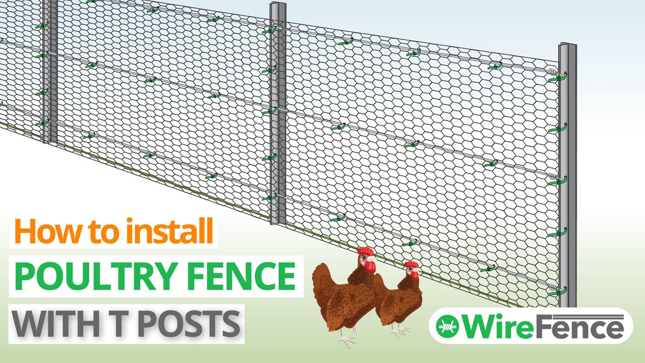 Poultry Fencing Installation with T posts and Chicken Wire | WireFence