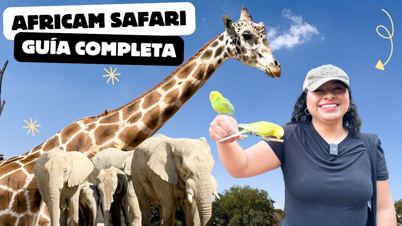 AFRICAM SAFARI PUEBLA: Guía completa con costos y recorrido