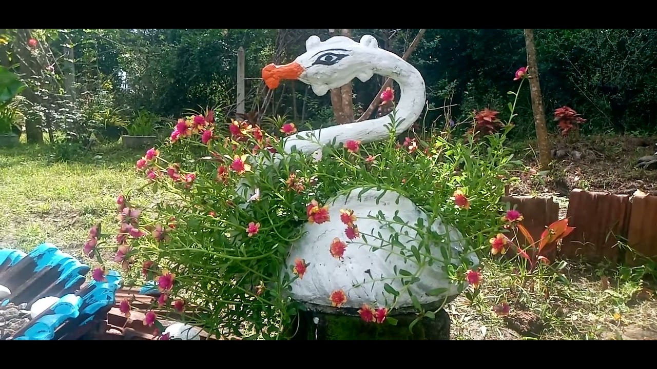 වියදම් නැති# garden #cover page🪪🚹 නිර්මාණය කරමුද?