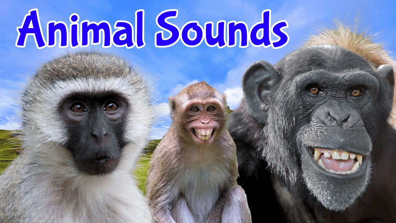 80+ Animal Sounds for Kids | Learn Animal Names & Sounds