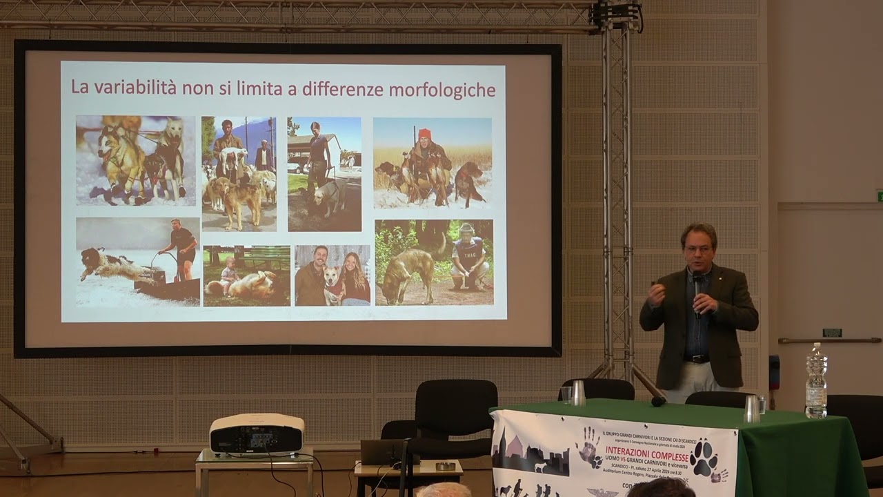rel. prof Ciucci 2 - Convegno Grandi Carnivori 2024