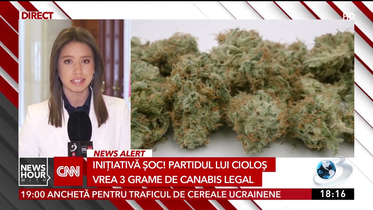 Inițiativă fără precedent &icirc;n Parlamentul Rom&acirc;niei: Posesia &icirc;n limita a 3 grame de canabis, legală