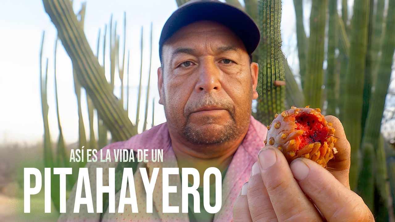 La DURA VIDA del PITAHAYERO en el DESIERTO de SONORA (Documental Real) ¿Como sobrevive a 45°c?