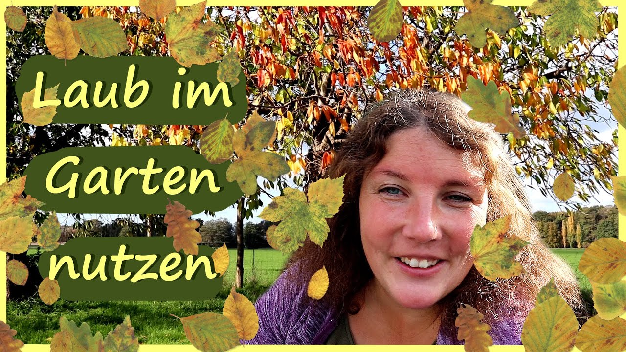 Laub 🍂 im Garten nutzen │ Laubkompost