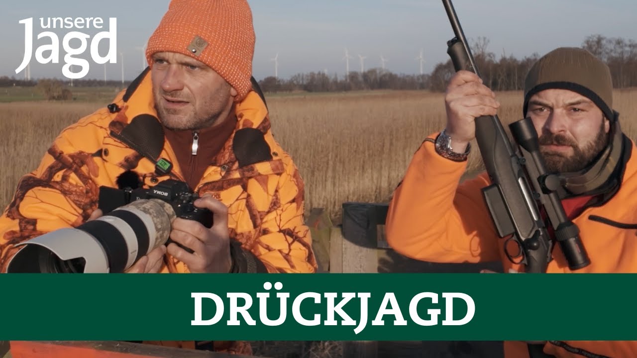 Bewegungsjagd | 77 St&uuml;ck Wild mit 16 J&auml;gern erlegt | Dr&uuml;ckjagd-Profitipps