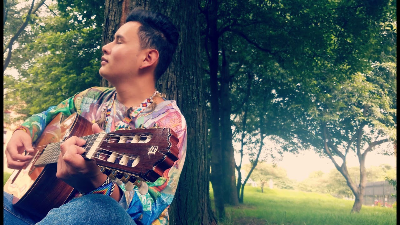 Nativo Del Sur “Agridulce”- Sergio Gomez R (MUSICA DE YAGE)