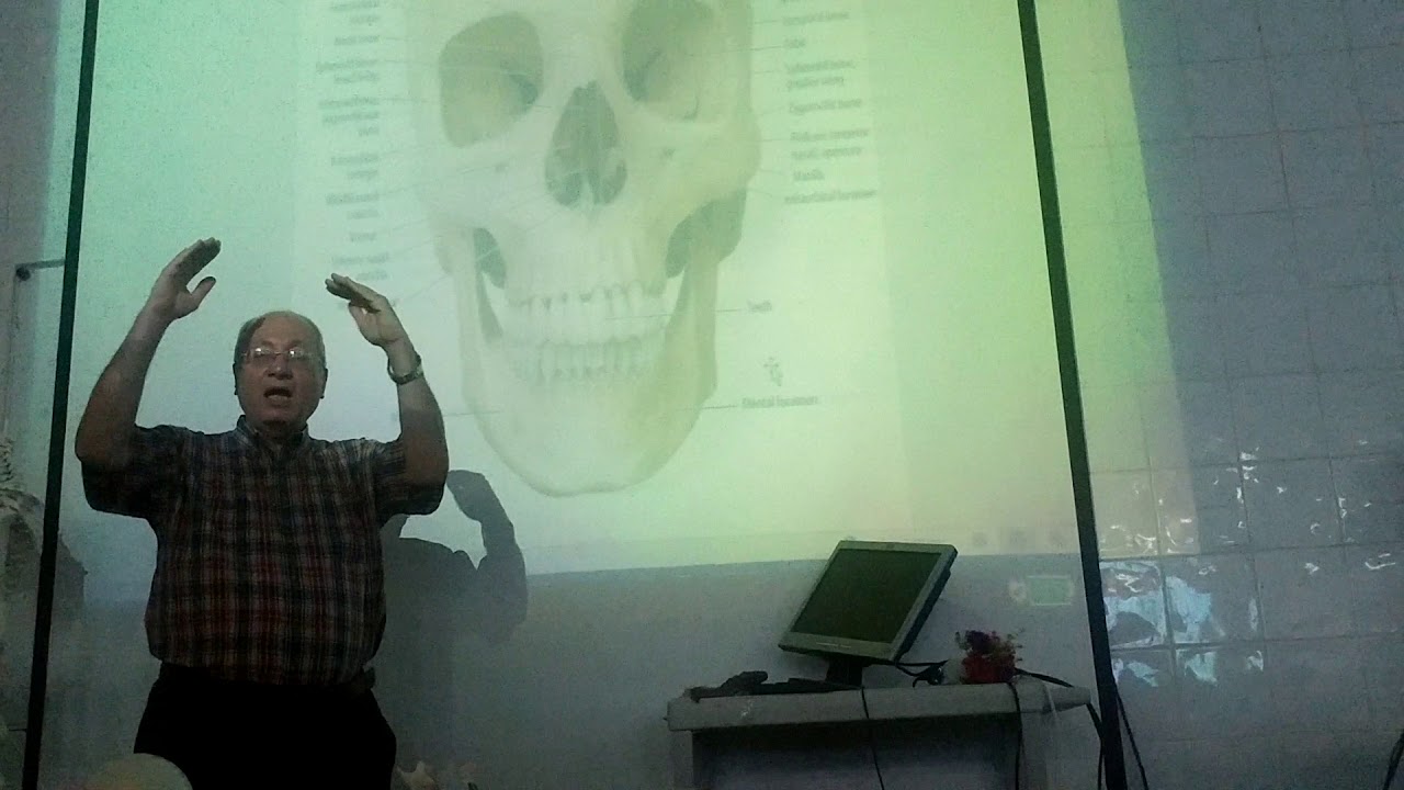 Anatomy of head & neck 4 ( Skull , part 4 , norma frontalis ) , by Dr. Wahdan