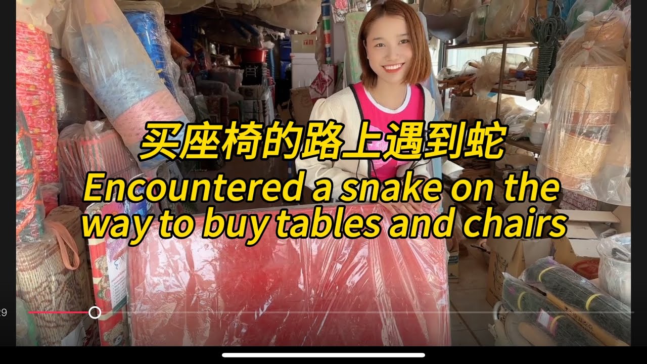 买桌椅的路上，遇见蛇。On the way to buy tables and chairs, I met a snake。#老挝农村生活 #老挝媳妇 #老挝美女
