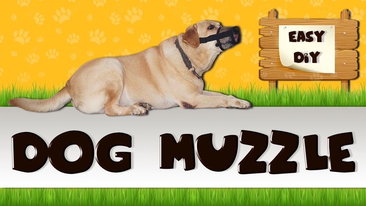 How To Make A Dog Face Mask (Muzzle)/Easy Diy