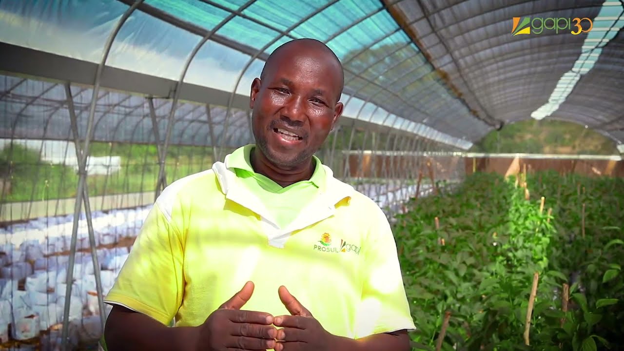 Juve-Inova - Fazer da Agricultura um Negócio - Gapi, com Monteiro Simpeque