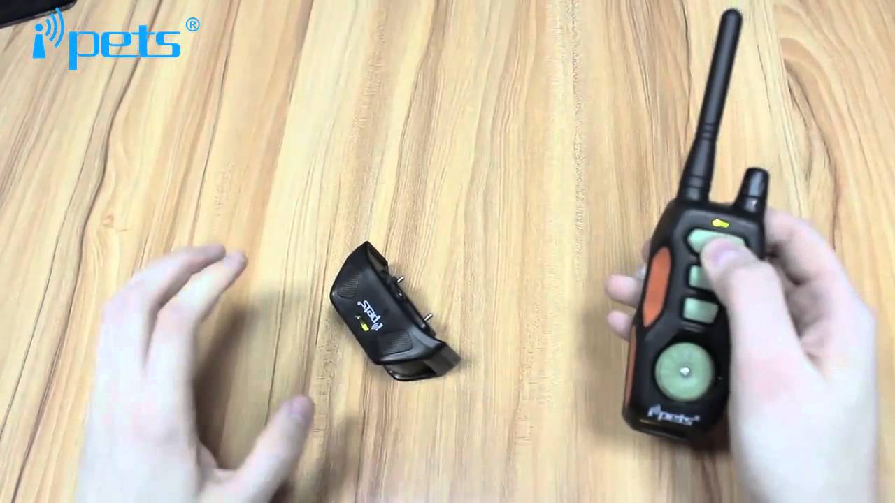 Collar de adiestramiento iPets PET618 Electropolis