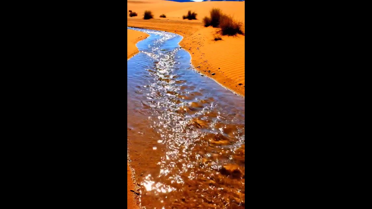 All time amazing Enjoy HD Beautiful rain in Desert and Mountains
