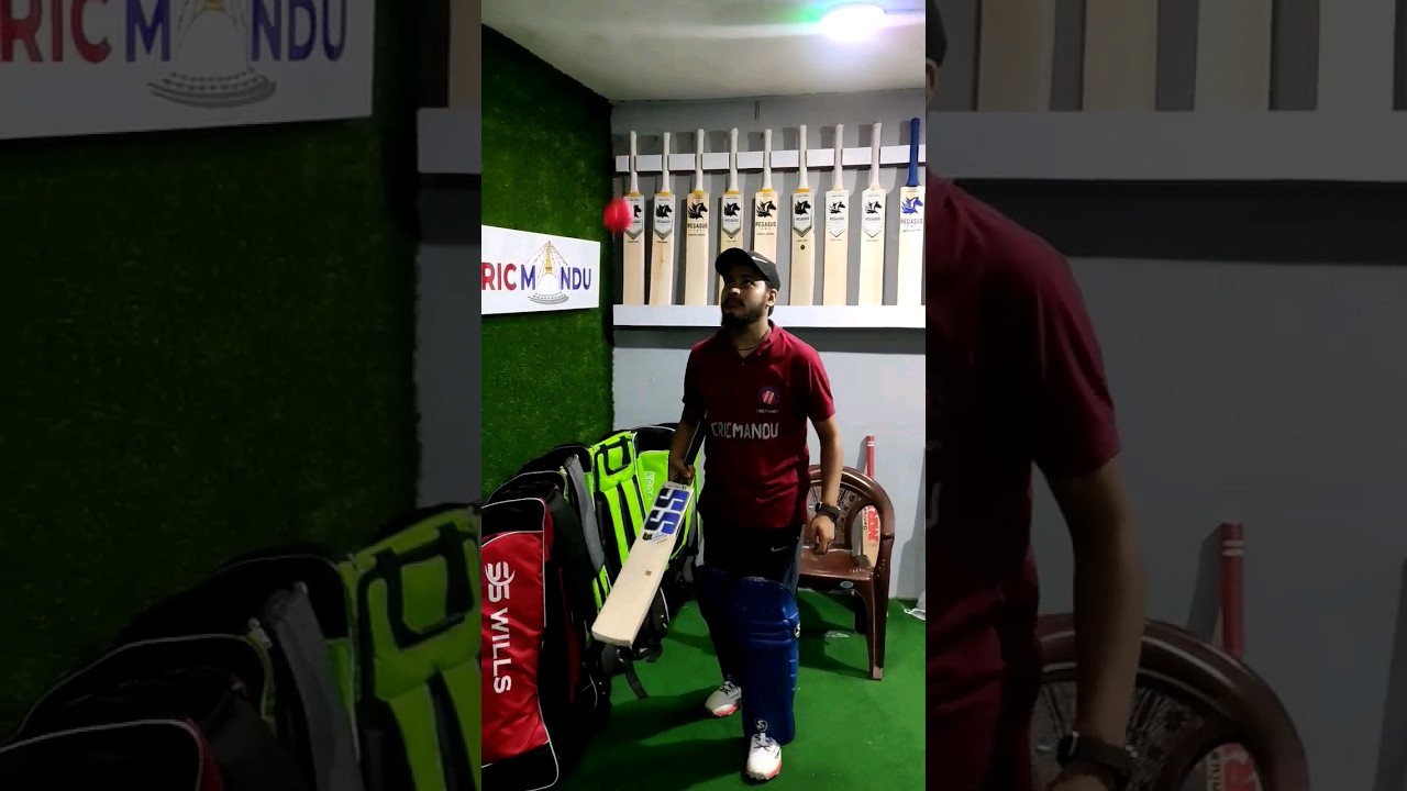 Amazing power of this bat || Best budgeted bat