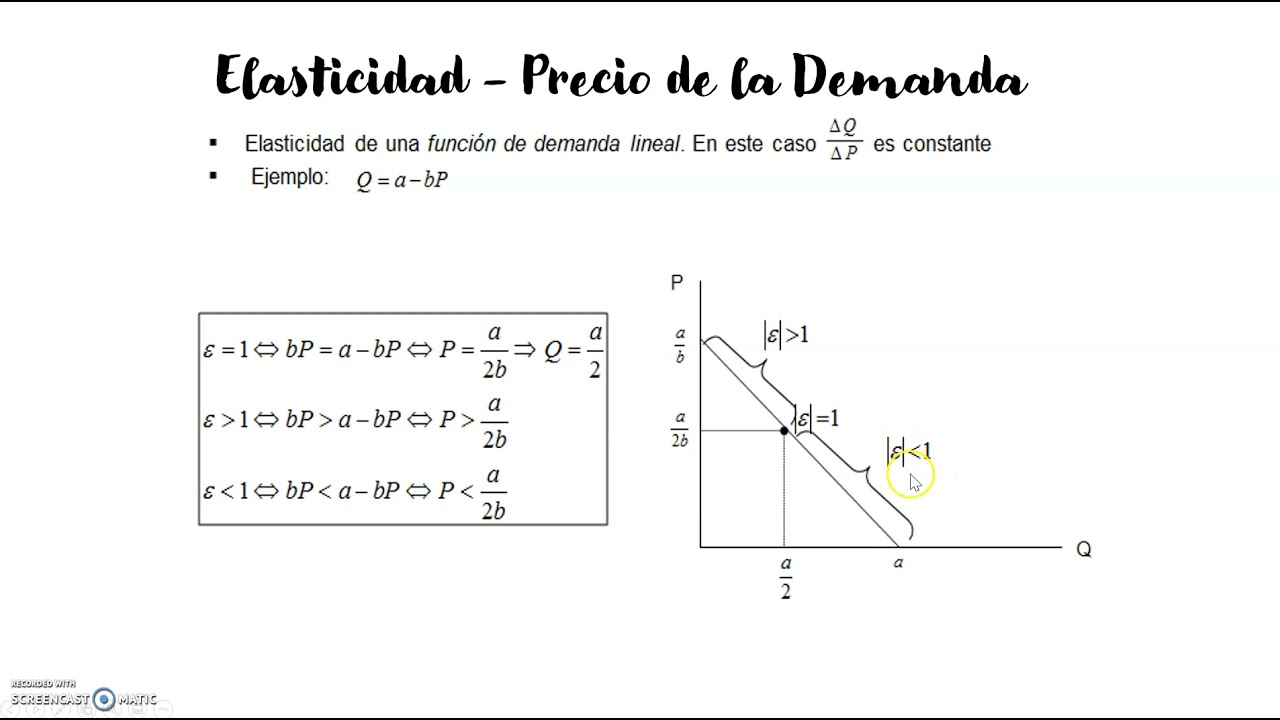 Tema 3.12 - Elasticidad de la Demanda