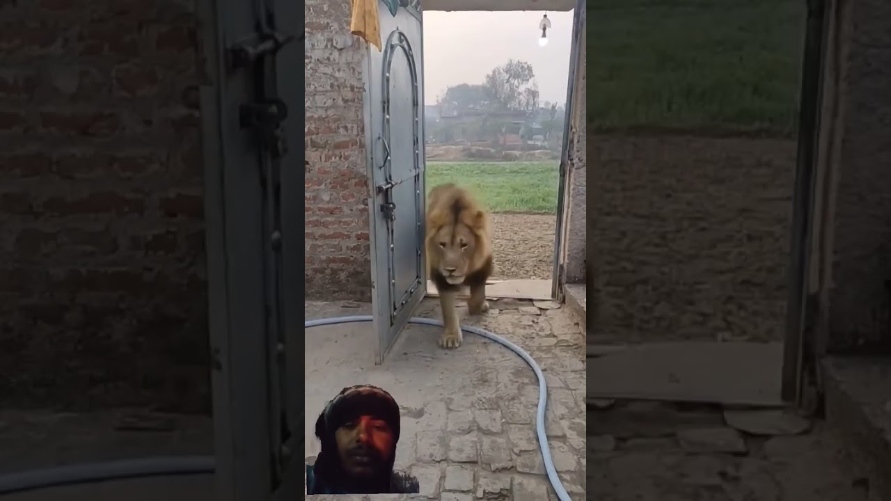 games, comic conventions, charity events, cosplay tutorial, special effects, cosplay photography, or