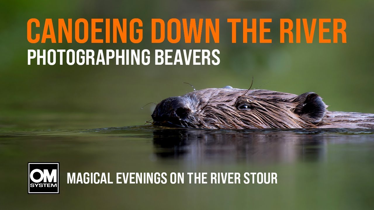 Zen & Beavers: Calming Canoe Photography