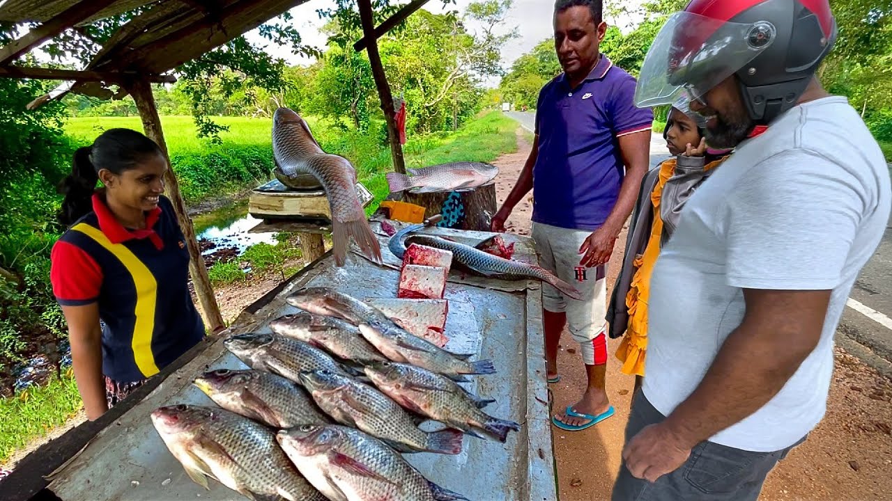 Interesting! Top Village Insider Reveals Countryside Fresh Fish Market